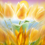 The Daily Zen Teisho