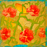 The Daily Zen Teisho