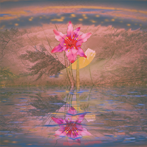 The Teachings of the Fourth Chan Patriarch Tao-shin