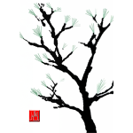 The Daily Zen Teisho The Daily Zen Teisho